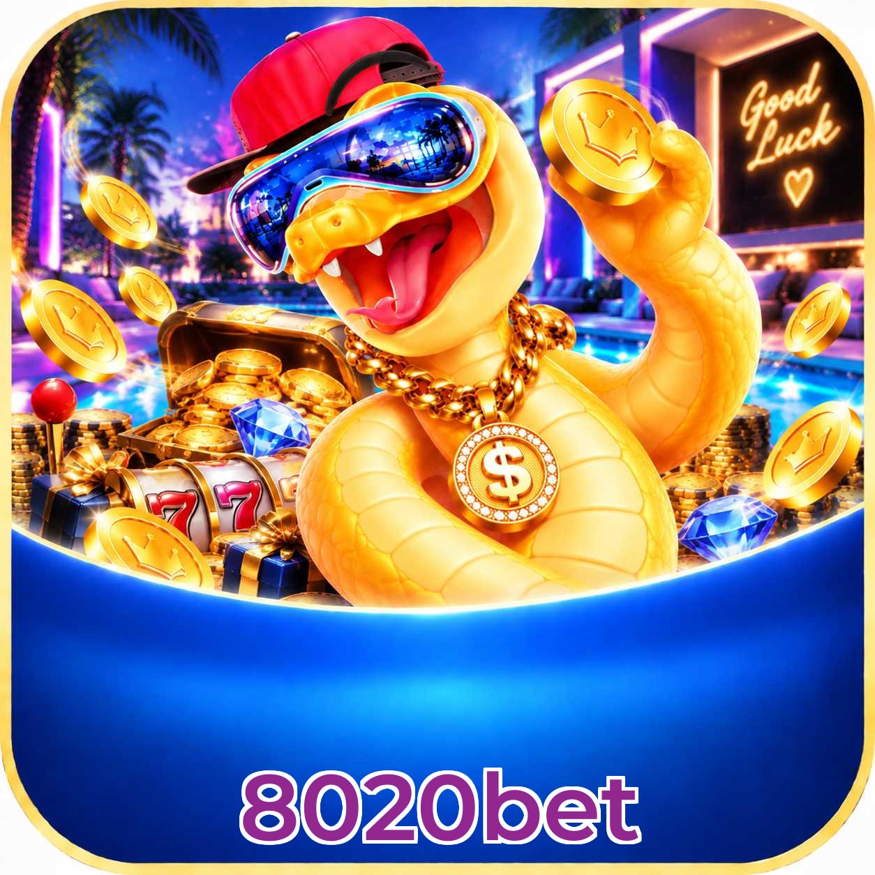8020bet Version History