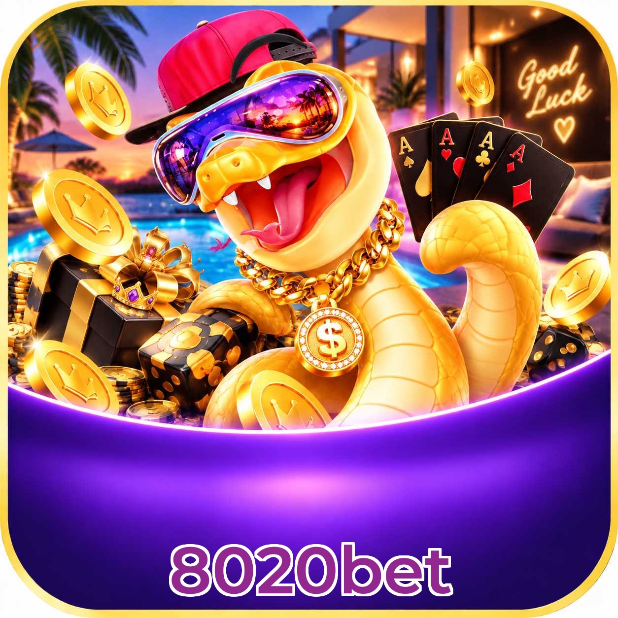8020bet Download Speed